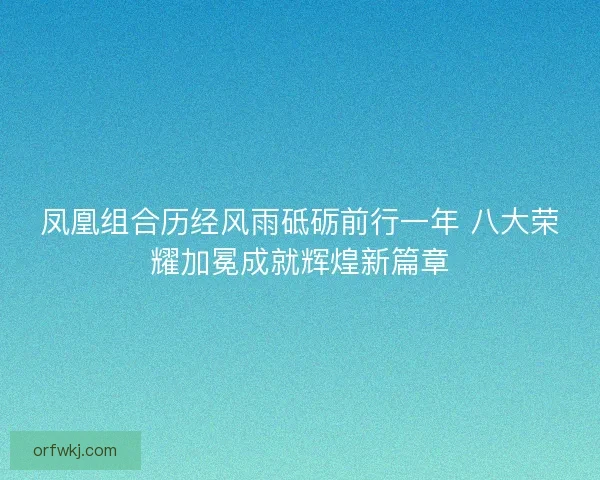凤凰组合历经风雨砥砺前行一年 八大荣耀加冕成就辉煌新篇章